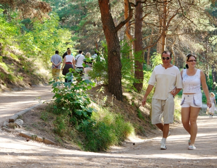 Терренкур - Санаторий «Арника» Кисловодск