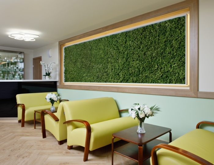 Фитолечение - Оздоровительные услуги - Санаторий «Арника» Кисловодск